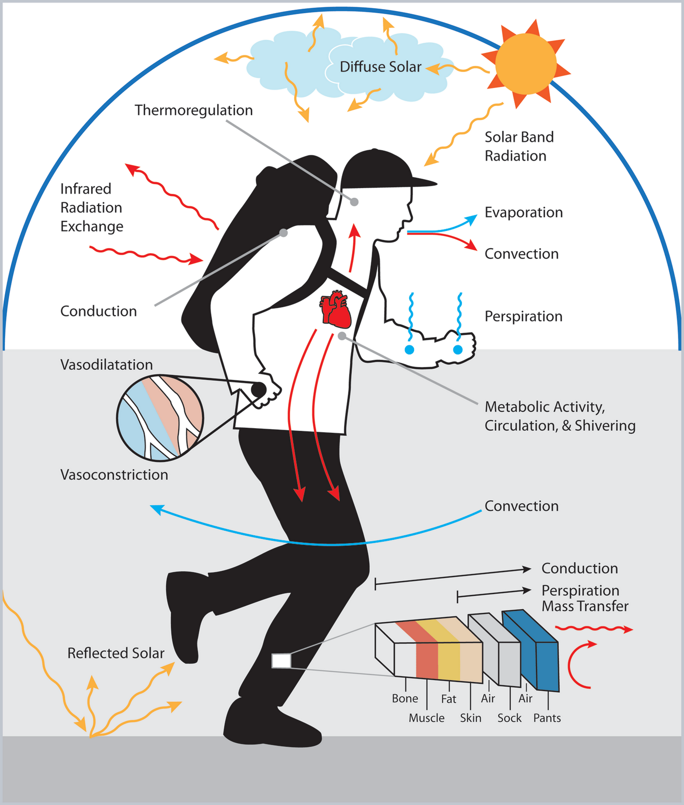 extremo-calor-para-varios-d-as-en-bc-baja-california